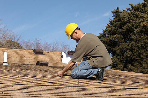 Best Gutter Replacement  in Pagould, AR